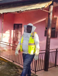 Désinsectisation à Yaoundé : éradication de guêpes | EDEN SARL