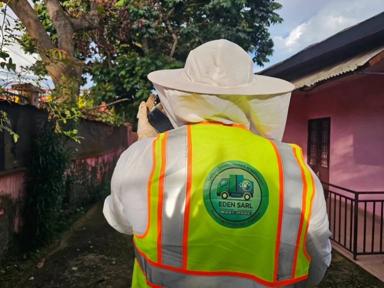 Désinsectisation à Yaoundé : éradication de guêpes | EDEN SARL