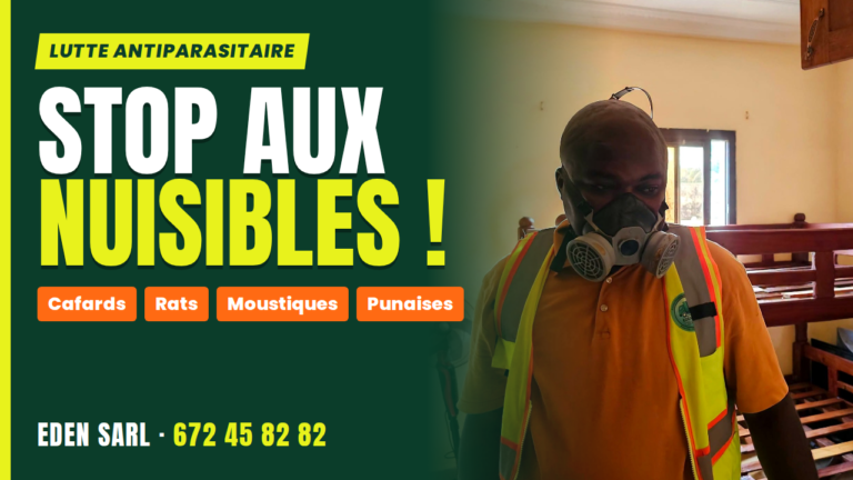 Désinsectisation à Yaoundé – Intervention à Mvan Tropicana
