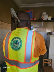 Désinsectisation à Yaoundé – Intervention à Mvan Tropicana