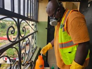 Désinsectisation à Yaoundé – Intervention à Mvan Tropicana