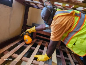 Désinsectisation à Yaoundé – Intervention à Mvan Tropicana