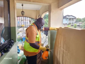 Désinsectisation à Yaoundé – Intervention à Mvan Tropicana