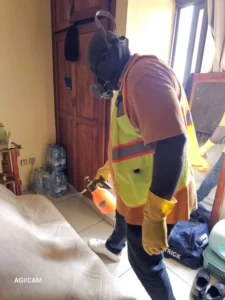 Désinsectisation à Yaoundé – Intervention à Mvan Tropicana