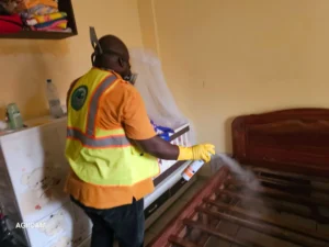 Désinsectisation à Yaoundé – Intervention à Mvan Tropicana